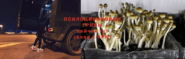 дживик Алексеевка