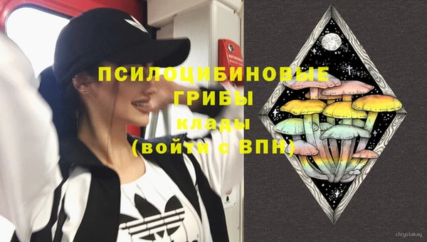 PSILOCYBIN Алексин
